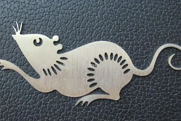 激光切割老鼠樣品 激光切割老鼠樣品